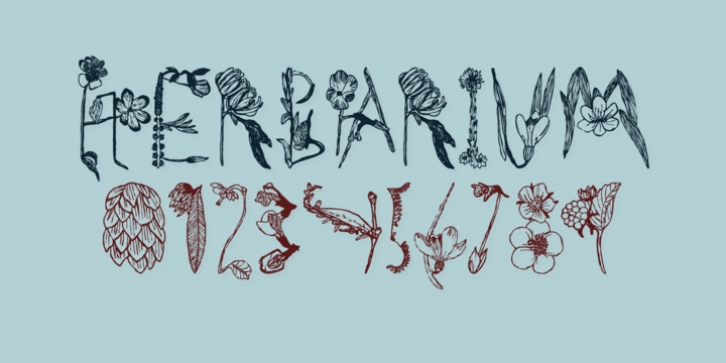 Herbarium font preview