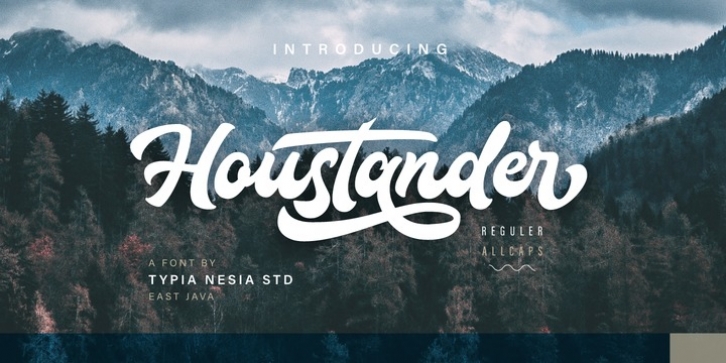 Houstander font preview