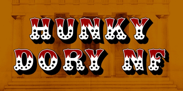 Hunky Dory NF font preview