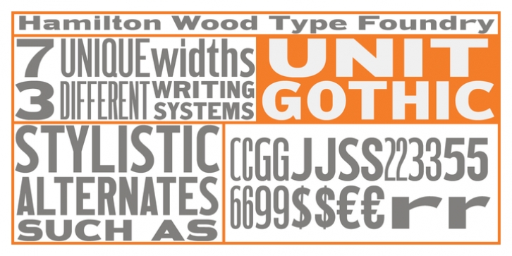 HWT Unit Gothic font preview