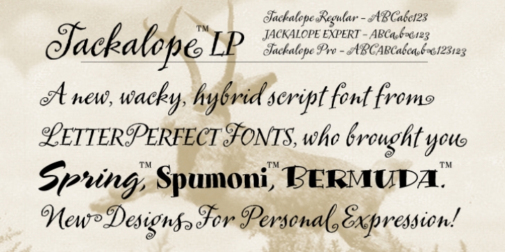 Jackalope LP font preview