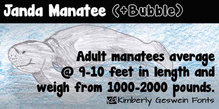 Janda Manatee font preview