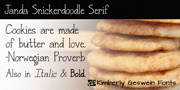 Janda Snickerdoodle Serif font preview