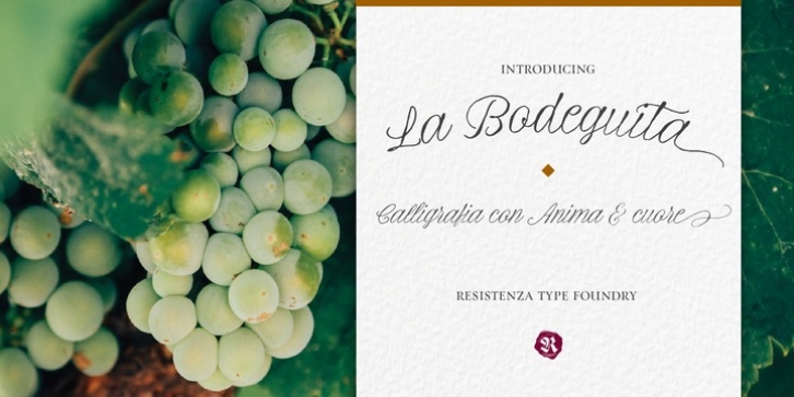 La Bodeguita font preview