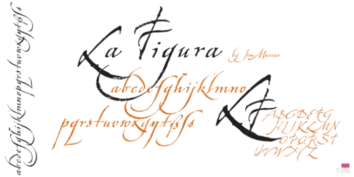 La Figura font preview