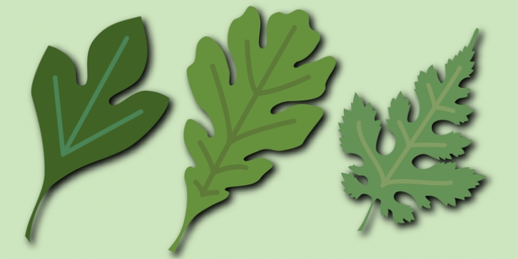 Leaf Assortment font preview