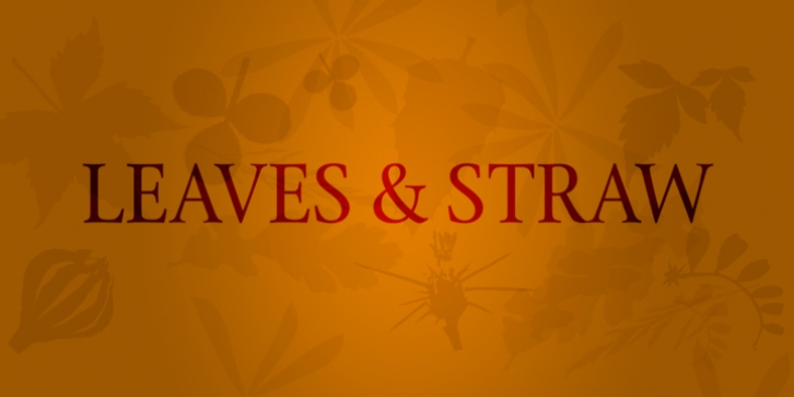 Leaves & Straw font preview
