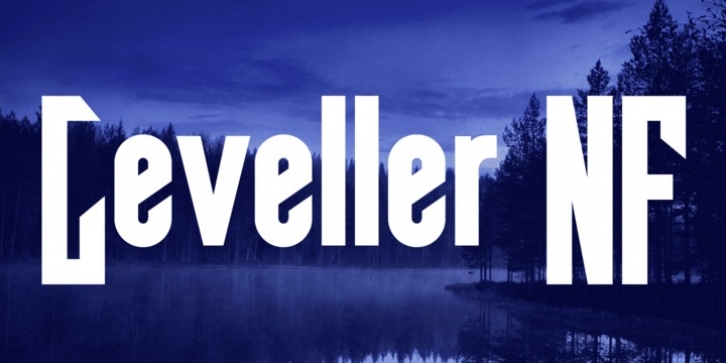 Leveller NF font preview