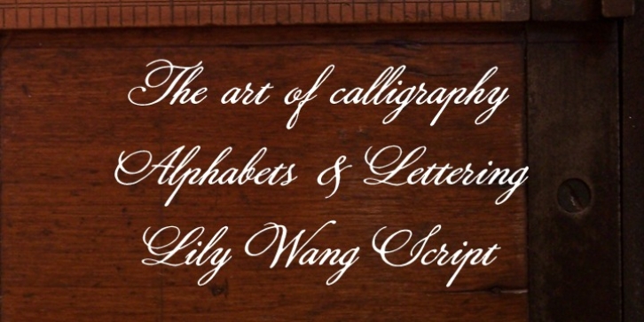 Lily Wang font preview