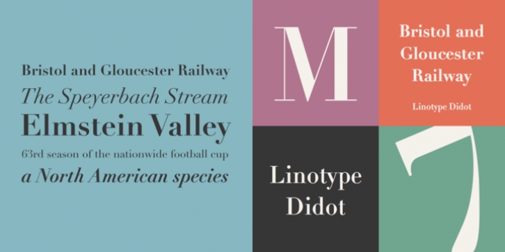 Linotype Didot font preview