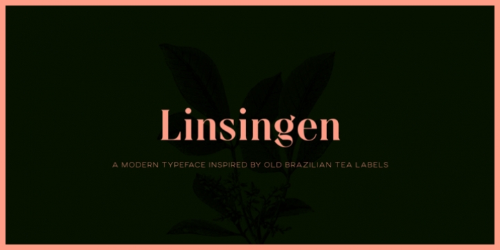 Linsingen font preview