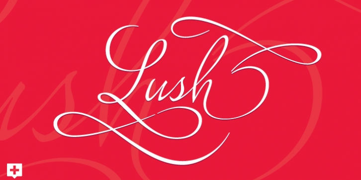 Lush Script font preview