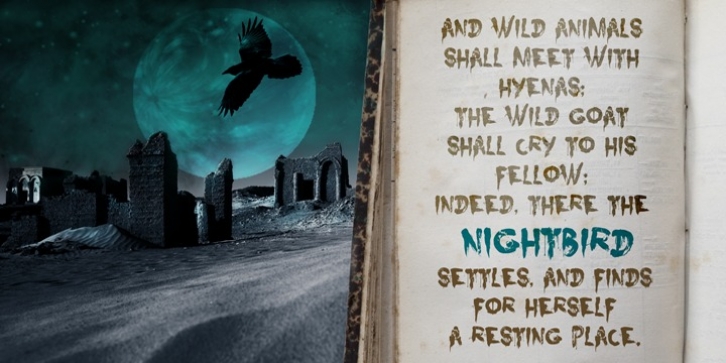 Nightbird font preview