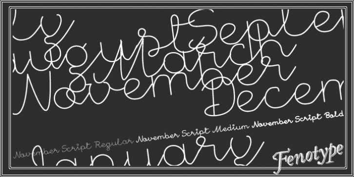 November Script font preview