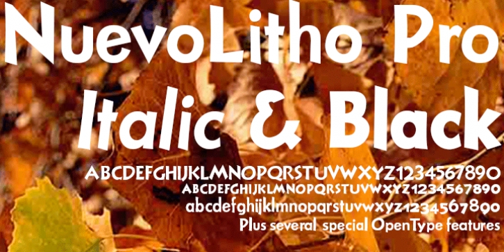 Nuevo Litho font preview