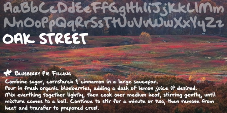 Oak Street font preview