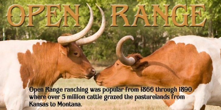 Open Range font preview