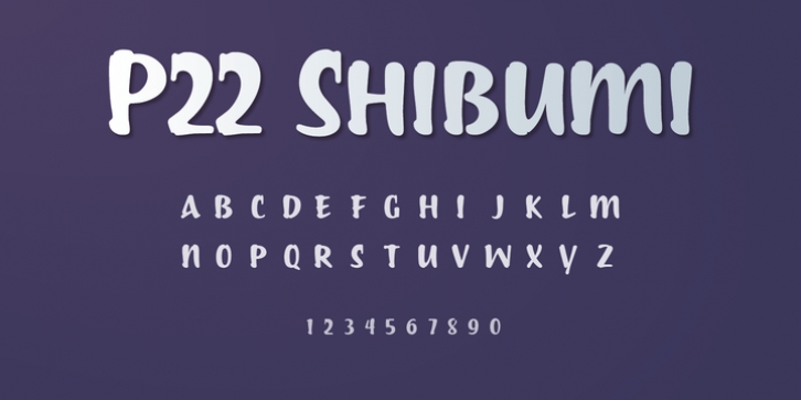 P22 Shibumi font preview