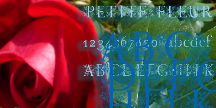 Petite Fleur font preview