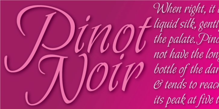 Pinot Noir font preview