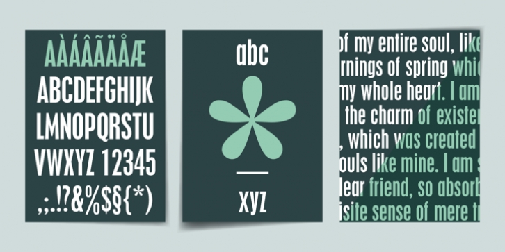 Placard font preview