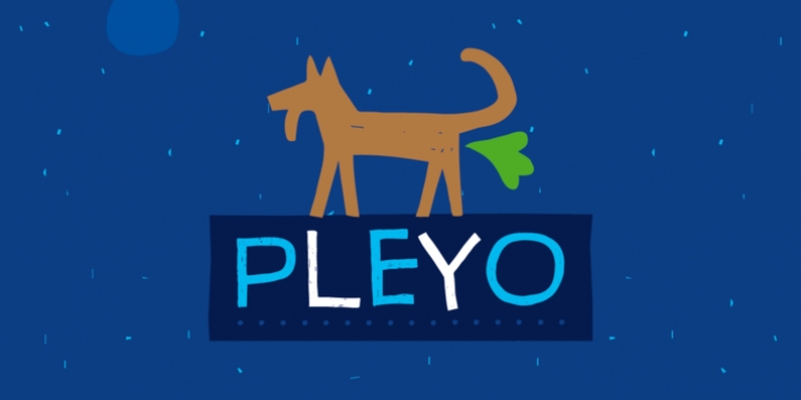 Pleyo font preview