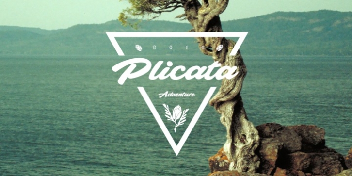 Plicata font preview