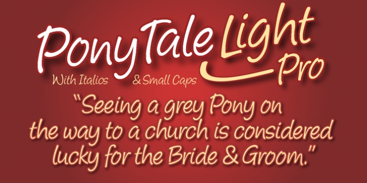 Pony Tale Light Pro font preview
