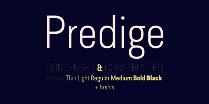 Predige font preview