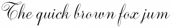 Ambassador Script Font Preview