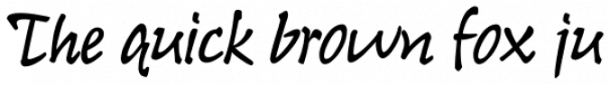 Reiner Hand Font Preview