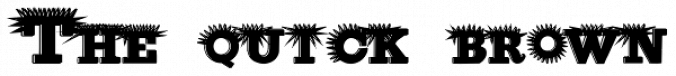 Porcupine font download