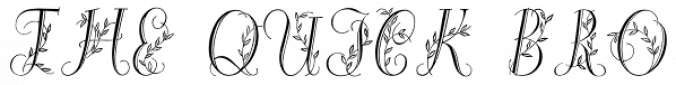 Maria-Ballé-Initials Font Preview