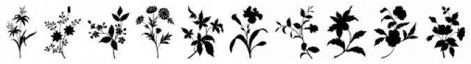 Plant Assortment Font Preview