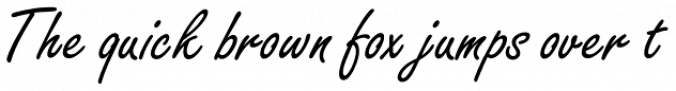 Freestyle Script Font Preview