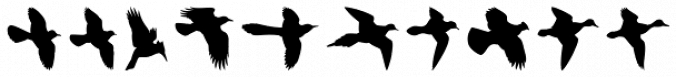 Birds Flying font download