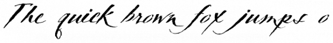 TXT Delicate Script Font Preview