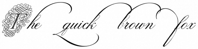 Calligraphia Latina Mixed Font Preview