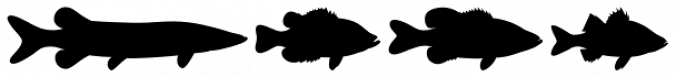Fish Fresh font download