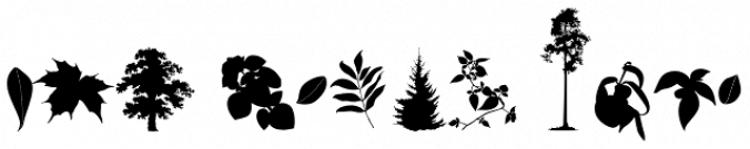 FT Forest font download