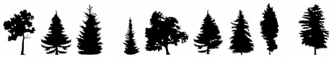 FT Hidden Forest font download