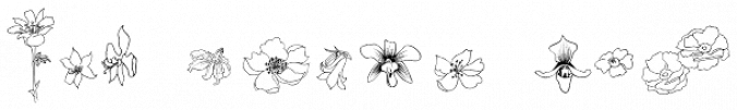 Flower Sketch Font Preview