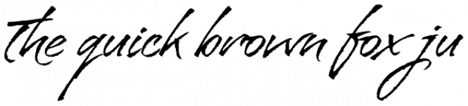 Bravissima Script Font Preview