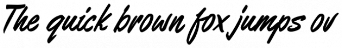 Barnstormer Script Font Preview