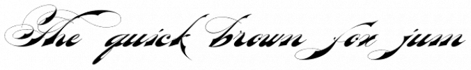 Bradstone-Parker Script Font Preview