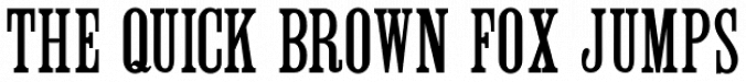 Roman Wood Type JNL Font Preview