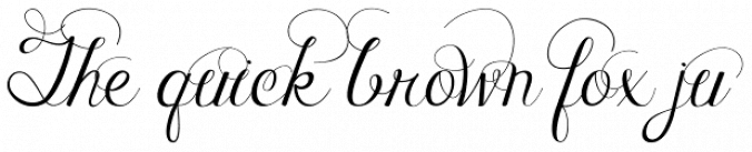 Janda Celebration Script Font Preview