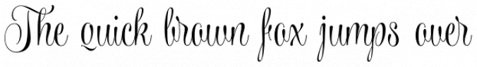 Wishes Script Font Preview