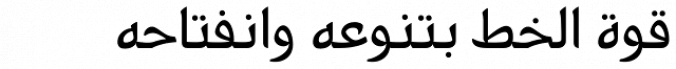 PF Nuyork Arabic font download