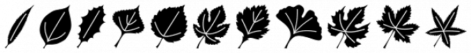 Leaf Assortment font download